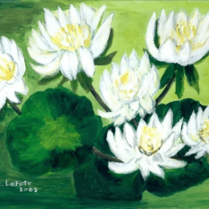 Water Lilies