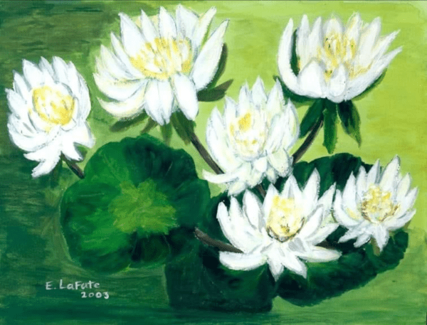 Water Lilies